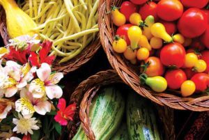 Organic Cuisine Harvest during Wellness Retreat